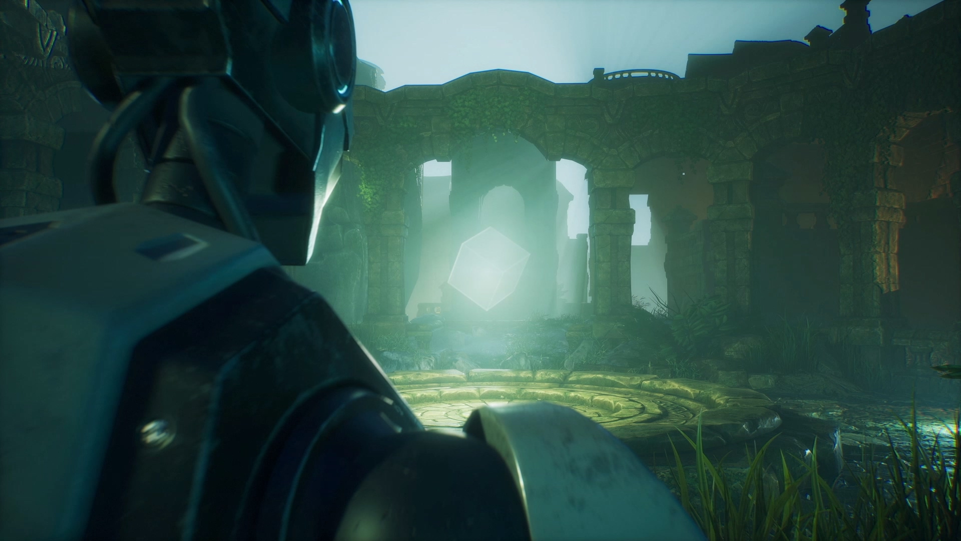 Gallery image 6